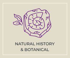 Natural History & Botanical Natural History & Botanical Icon